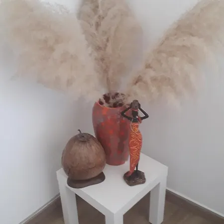 ホームステイ Veronique Schouckens *